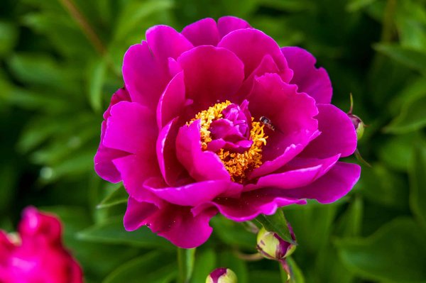 Transform Your Renovated Loft with Eco-Friendly Wool Insulation: A Guide to Sustainable Living